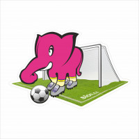 slon fotbalista