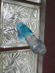 Dildo gelové přísavka modré 17*3 cm