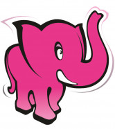 Elefánt matrica
