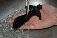 Prostate Jet vibrációs anális dugó - mosócsap a kézben
