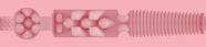 Fleshlight vagína Clasic Pink Lady Destroya (25 cm)