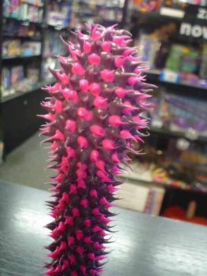 Vibrátor kaktusz lila 19 * 3 cm