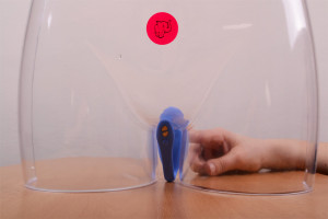 We-Vibe Jive bezdrôtové vibračné vajíčko, ukážka zavádzanie