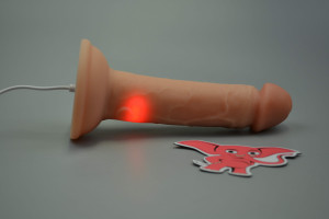 Realistický vibrátor s přísavkou z dvojitého silikonu Pipedream King Cock Nice Guy, nabíjení