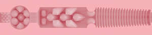 Fleshlight vagina Clasic Pink Lady Destroya (25 cm)