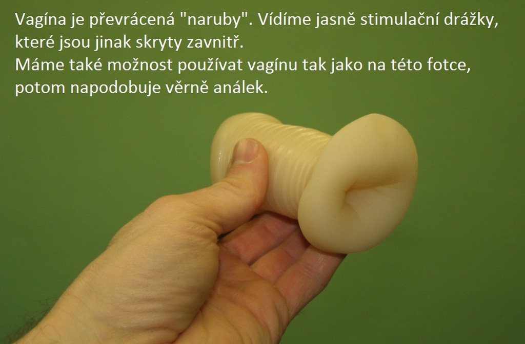 Vagina Ušatá Bára